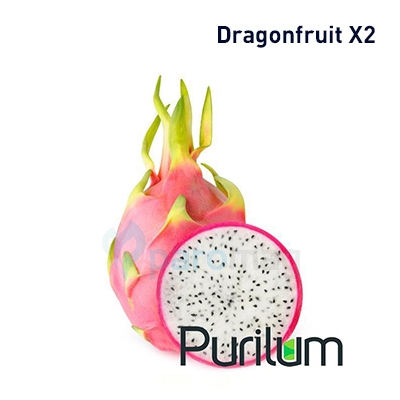 картинка Dragonfruit X2 от магазина Paromag 