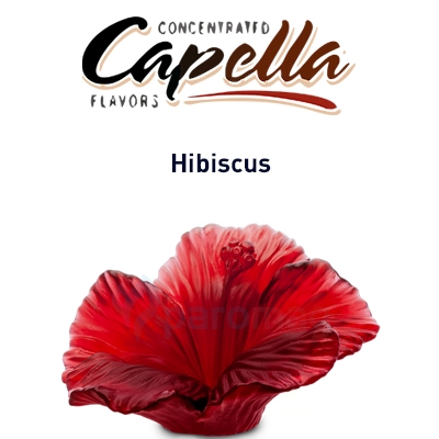 картинка Hibiscus от магазина Paromag 