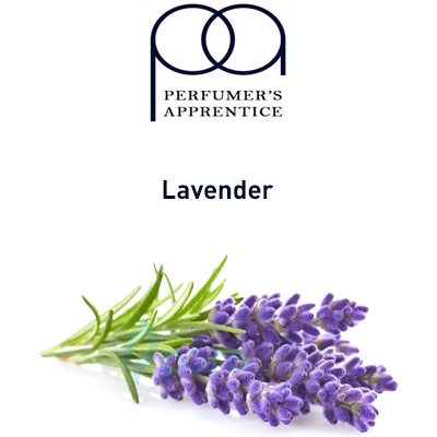 картинка Lavender от магазина Paromag 