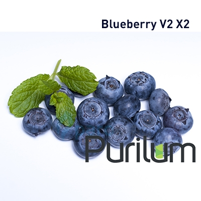 картинка Blueberry V2 X2 от магазина Paromag 