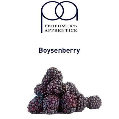 картинка Boysenberry от магазина Paromag 