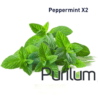 картинка Peppermint X2 от магазина Paromag 