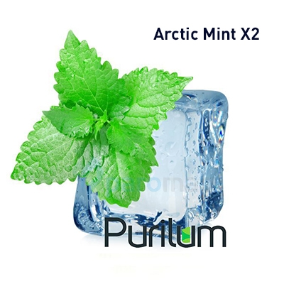картинка Arctic Mint X2 от магазина Paromag 