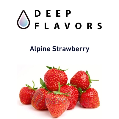 картинка Alpine Strawberry (Strawberry jam) от магазина Paromag 