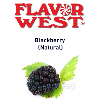 картинка Blackberry (Natural) от магазина Paromag 