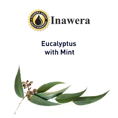 картинка Eucalyptus + Mint от магазина Paromag 