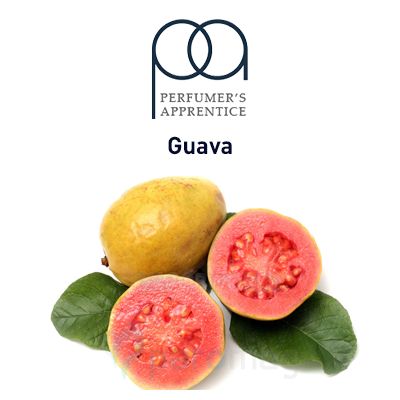 картинка Guava от магазина Paromag 
