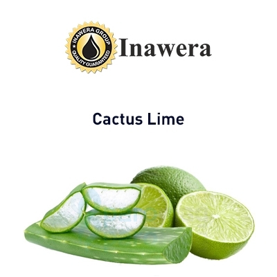 картинка Cactus Lime от магазина Paromag 