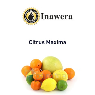 картинка Citrus Maxima от магазина Paromag 