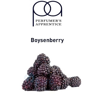 картинка Boysenberry от магазина Paromag 