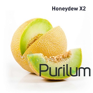 картинка Honeydew X2 от магазина Paromag 