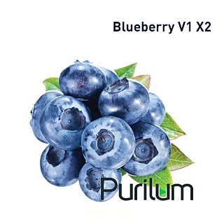 картинка Blueberry V1 X2 от магазина Paromag 