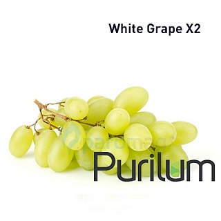картинка White Grape X2 от магазина Paromag 
